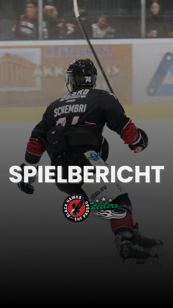 Spielbericht Bietigheim Story